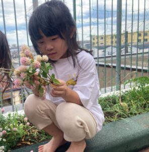 花は枯れるが、思いは枯れず